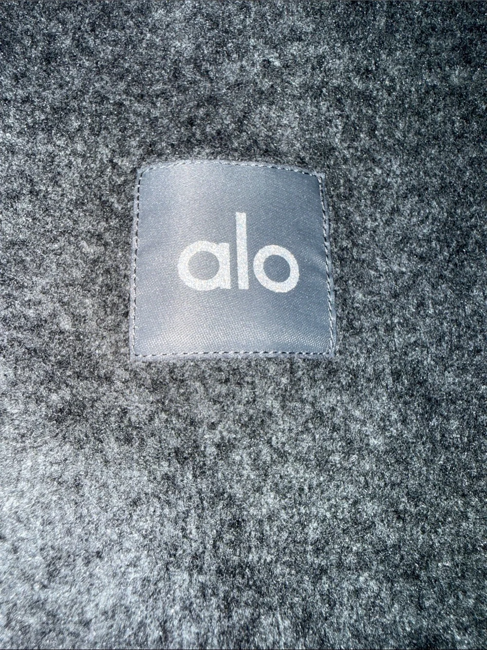 Alo - The Triumph Hoodie (Limited Color)